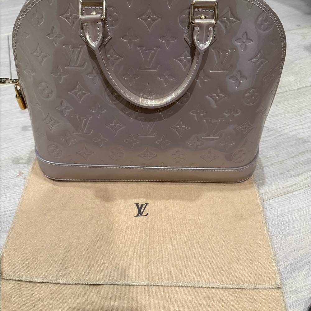 Louis Vuitton Gray Handbag